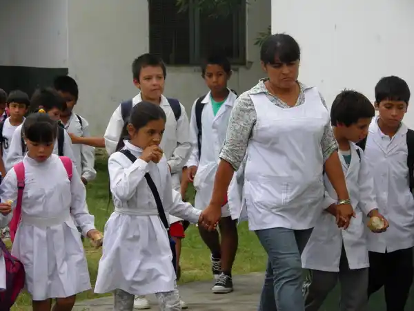 Los docentes diseñaron un programa de prevención para la salud laboral