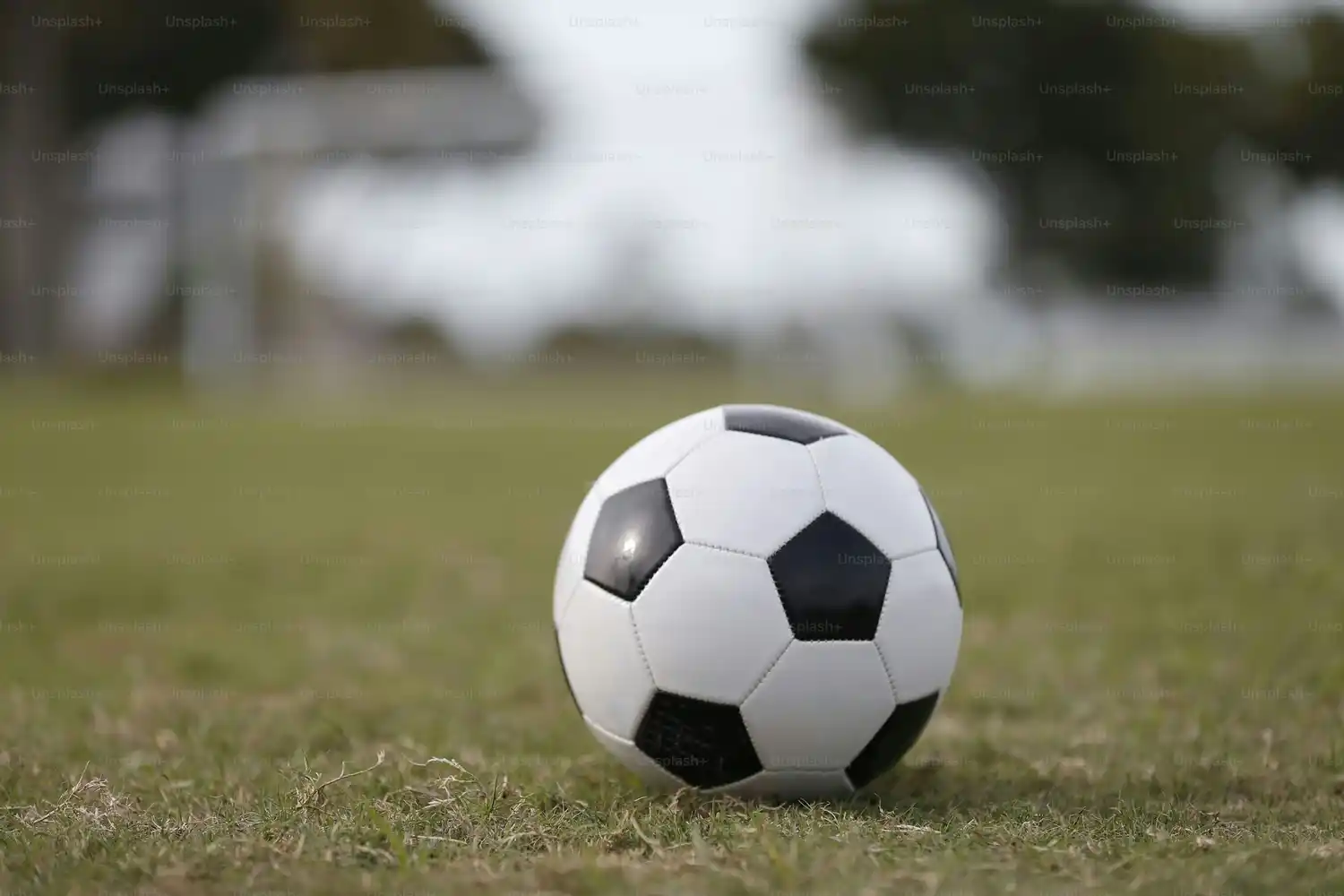 Dos clásicos en la séptima fecha de Primera
