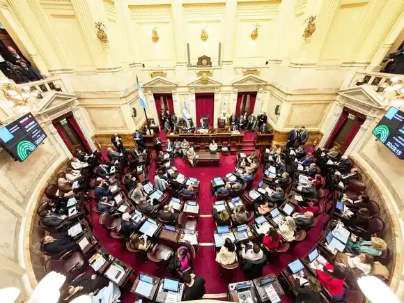 El Senado dejó firme la Emergencia en Discapacidad