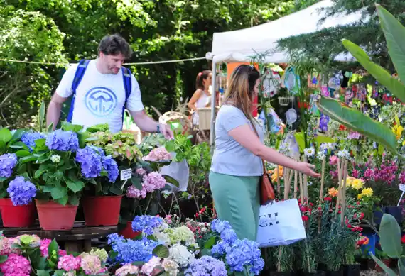 La Expo Jardín Sans Souci prepara tres jornadas repletas de paisajismo y jardinería