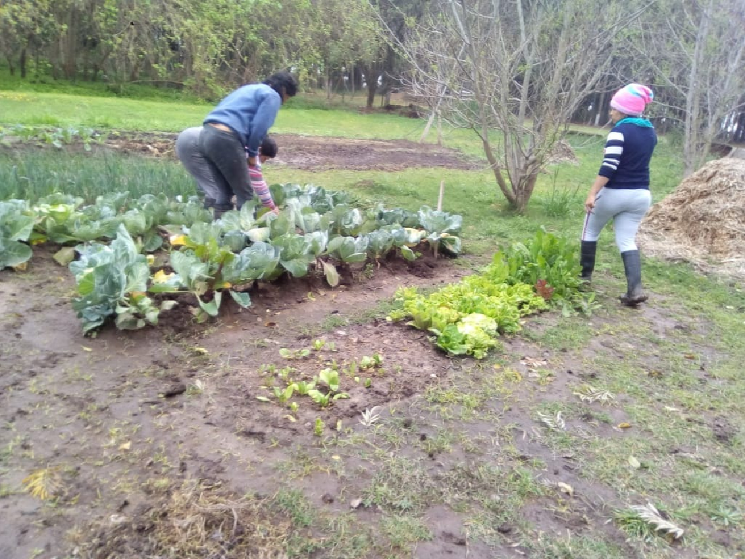 Con una huerta ecológica Brinkmann abren su tercera cooperativa de trabajo   