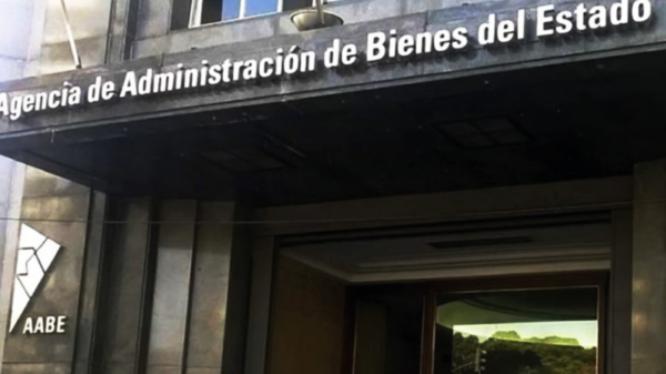 Viotti gestiones