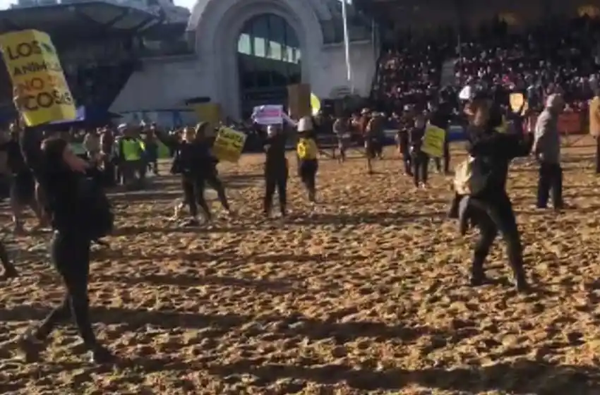 Escándalo en La Rural: un grupo de veganos invadió el lugar y los echaron a «rebencazos»