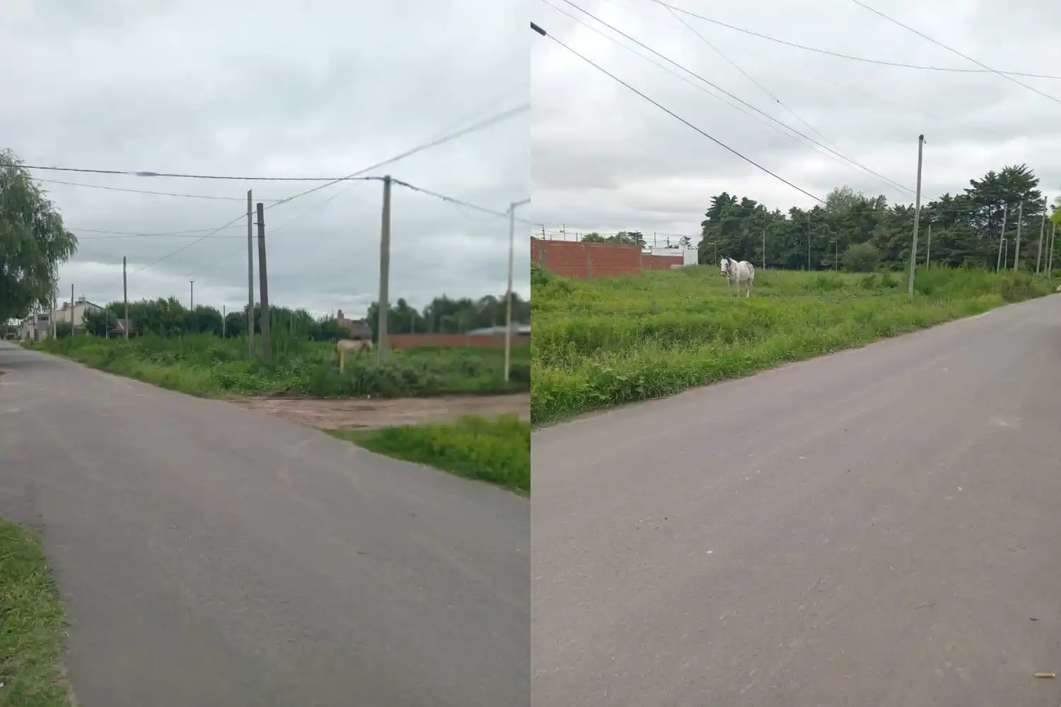 Litoral e Italia: vecinos reclaman por limpieza en los terrenos