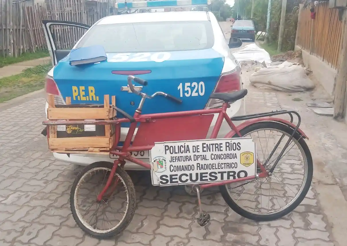 Detenido por el robo de una bicicleta