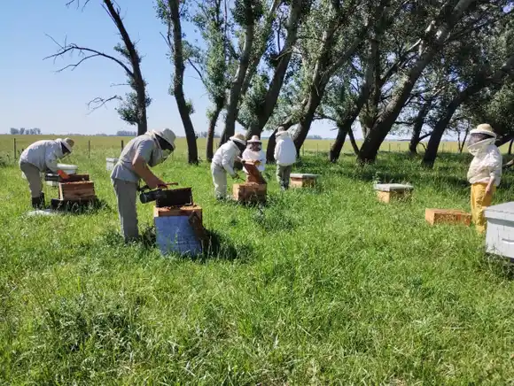 Comenzaron las capacitaciones laborales de Auxiliar en Apicultura en distintos departamentos de Entre Ríos