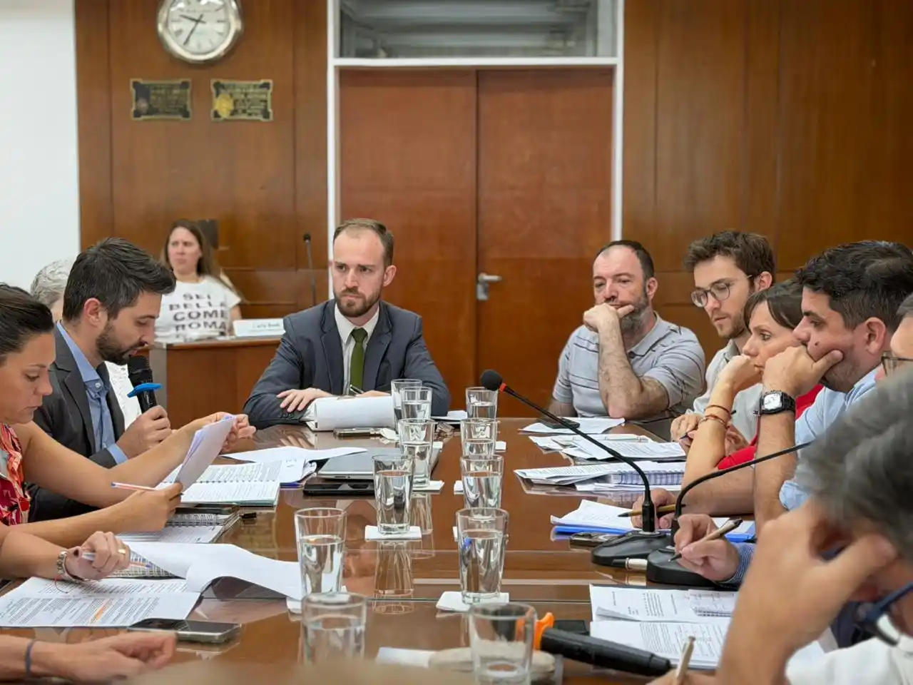 El Concejo Municipal analizó el proyecto para crear el Régimen Rafaelino de Incentivos a Grandes Inversiones - 2