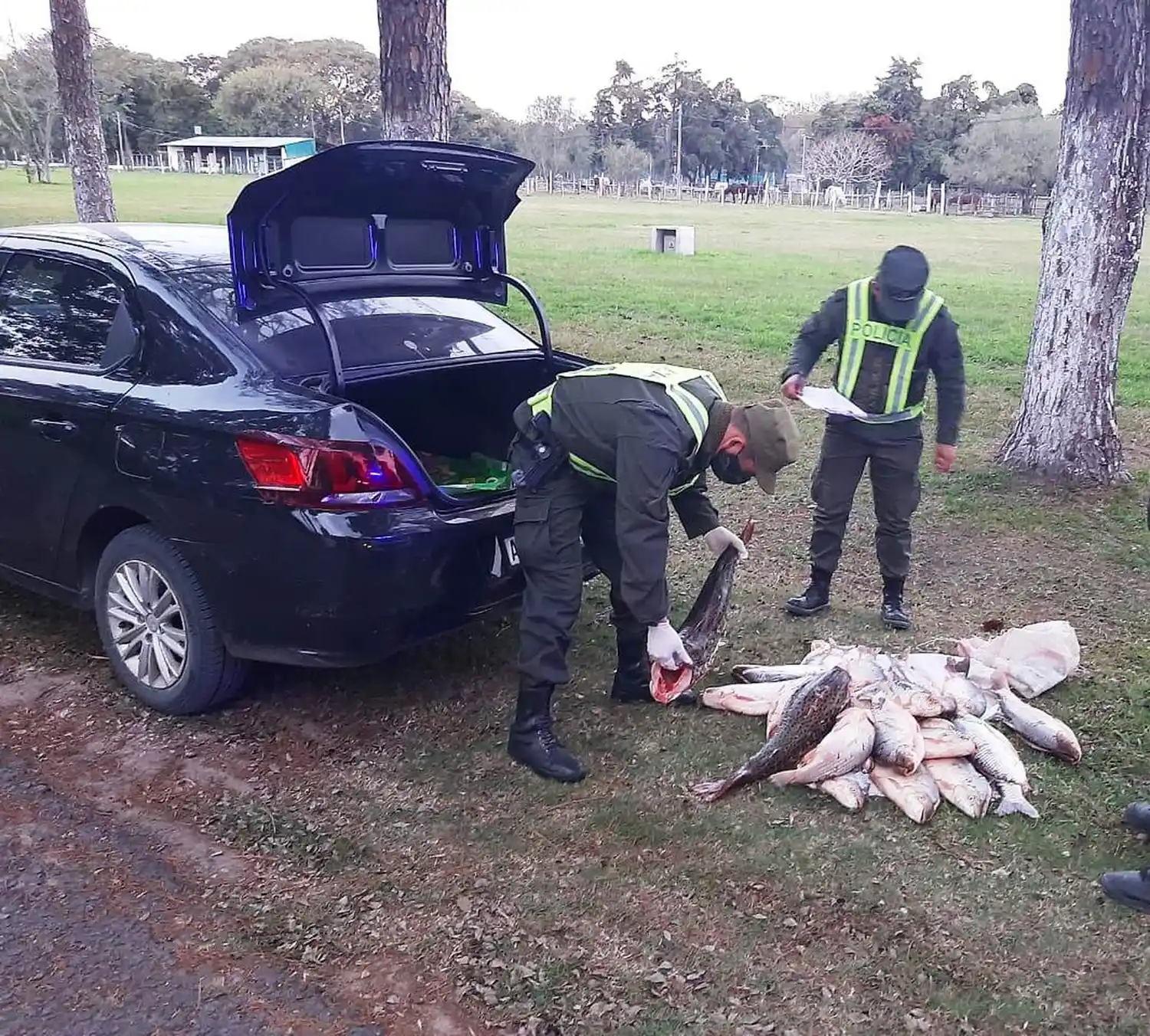Reconquista: operativo contra la pesca ilegal