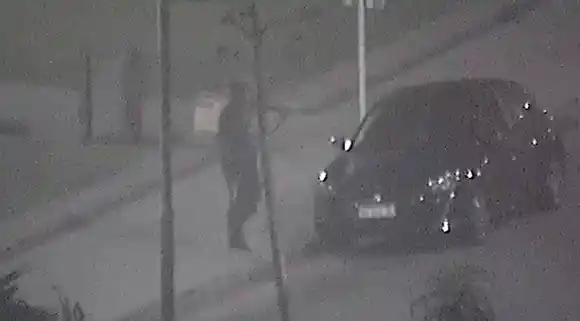 Robo a autos estacionados: "Desde el punto de vista cuantitativo, el número es extremo"