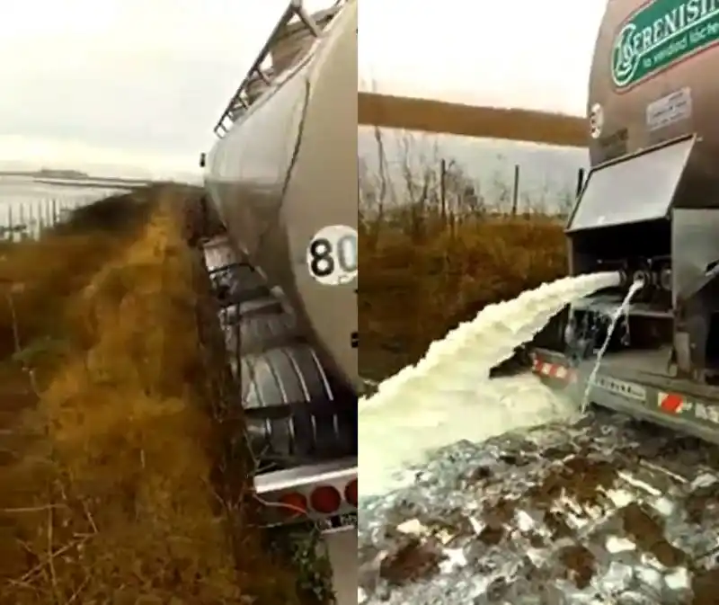 Rivadavia: el agua afecta al 40 por ciento del distrito y los tambos tiran leche
