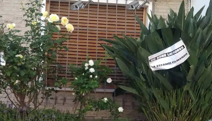 ¡No robe las flores, la estamos filmando!