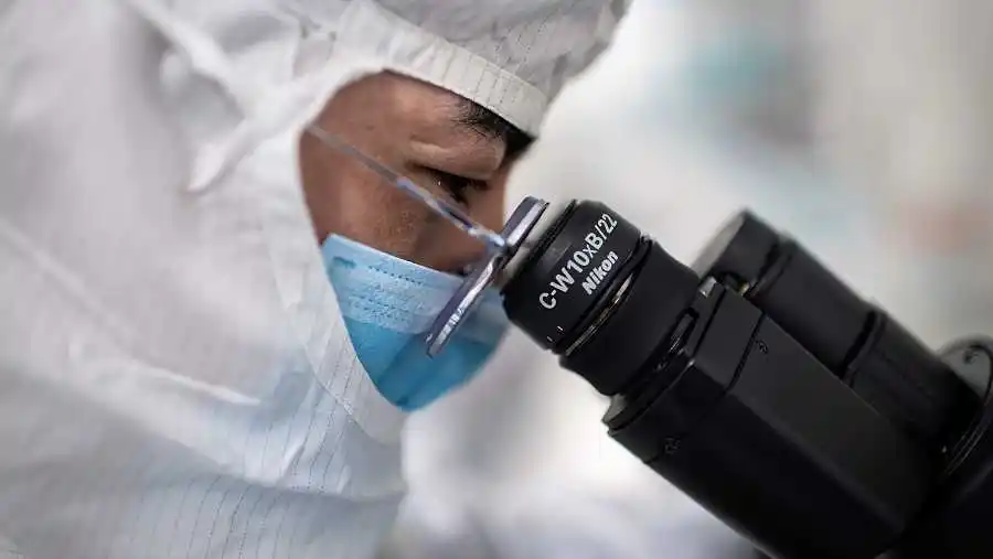 Vacuna candidata contra el coronavirus logró prevenir la infección en un estudio preclínico