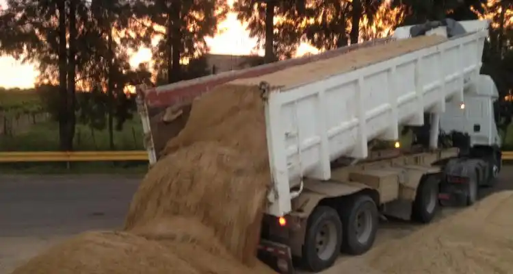 Las quejas de los vecinos de Río Tala por los camiones areneros