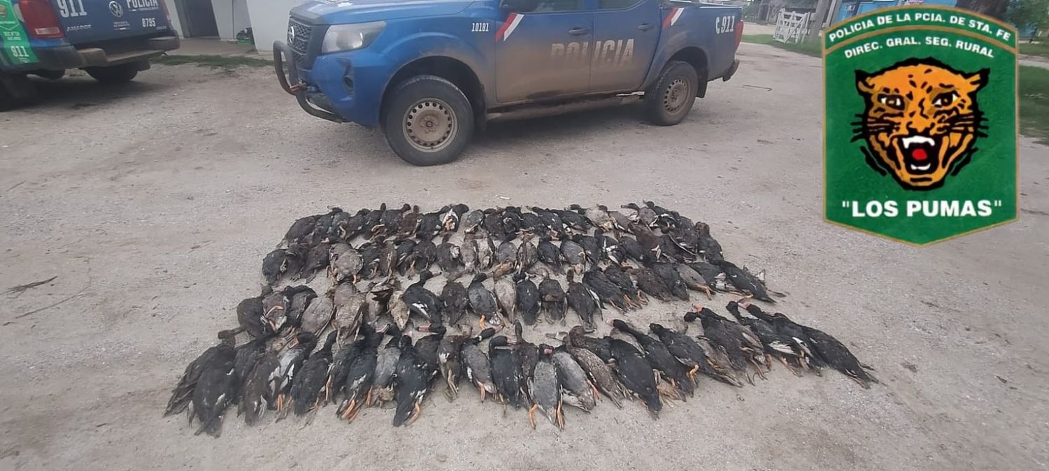 San Jorge: infraccionaron a cuatro personas por caza ilegal de aves silvestres