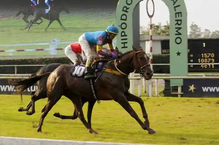 Viernes 9: Actividad Hipódromo de Palermo