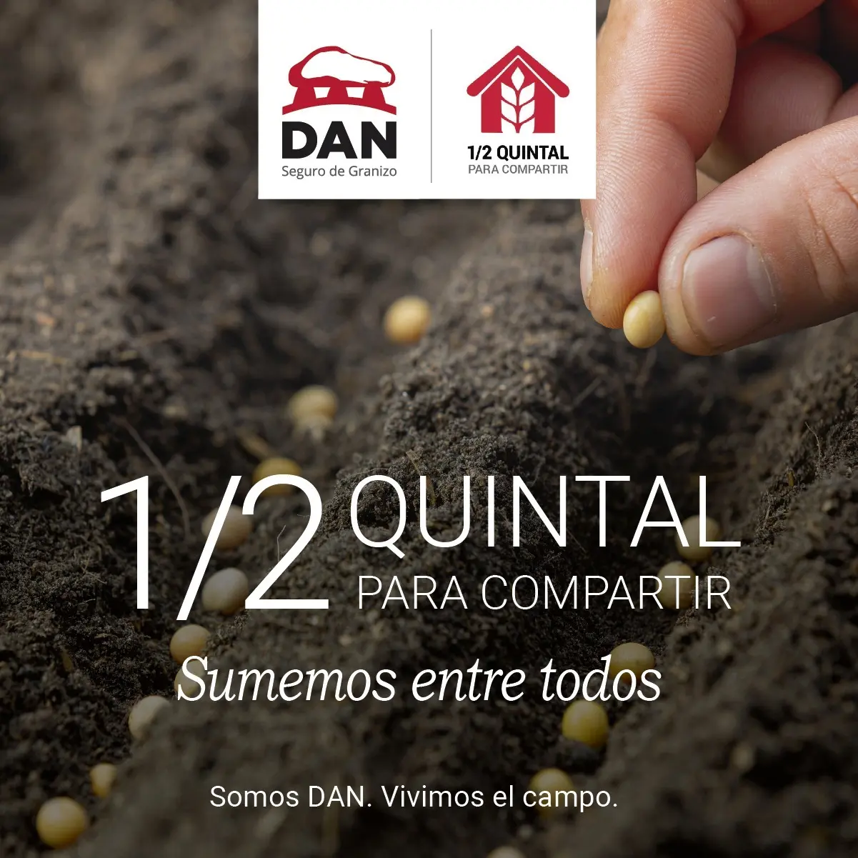 Edición 2022 de “Medio Quintal para compartir”