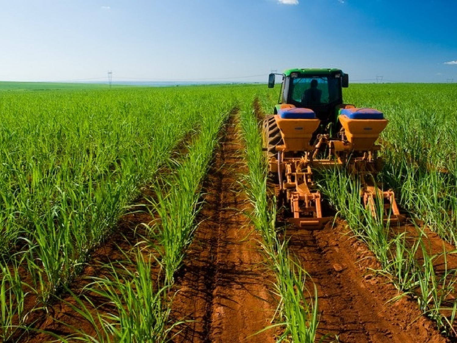 Agroindustria firmó convenios con universidades para asistir a pequeños productores porcinos de Córdoba