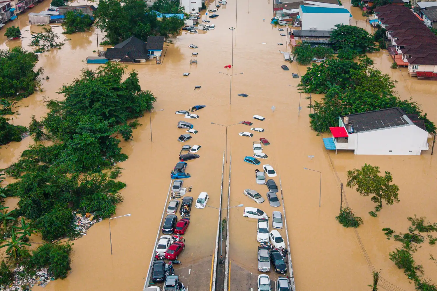 Devastador temporal