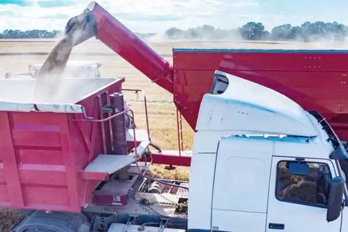 España y Francia ahora quieren abastecerse de granos argentinos