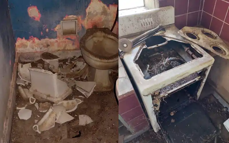 Inseguridad rural: “No dejaron ni siquiera la llave de paso de los molinos”