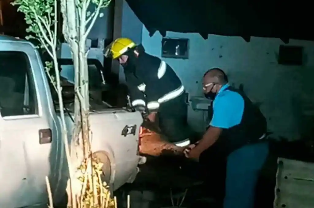 Un Intendente organizó un asado y Bromatología le decomisó la vaca