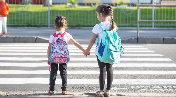 La comisión Bicameral de los derechos de las niñas, niños y adolescentes