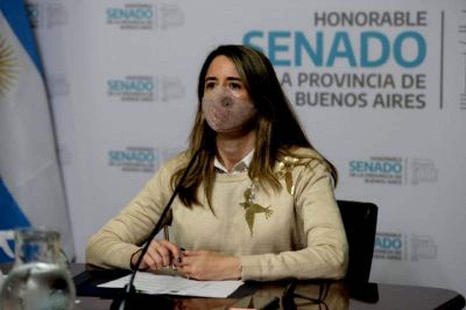 Legislatura bonaerense: Senadora Delmonte presentó un proyecto para fomentar el emprendedurismo en Provincia