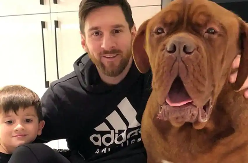 Furor por Hulk, la mascota de la Pulga