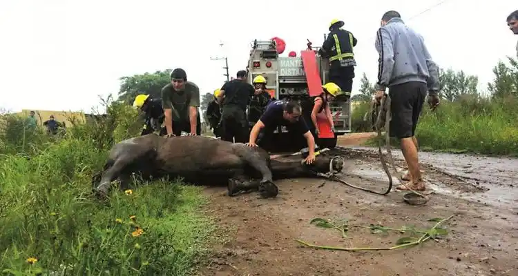 > Salidas de Bomberos