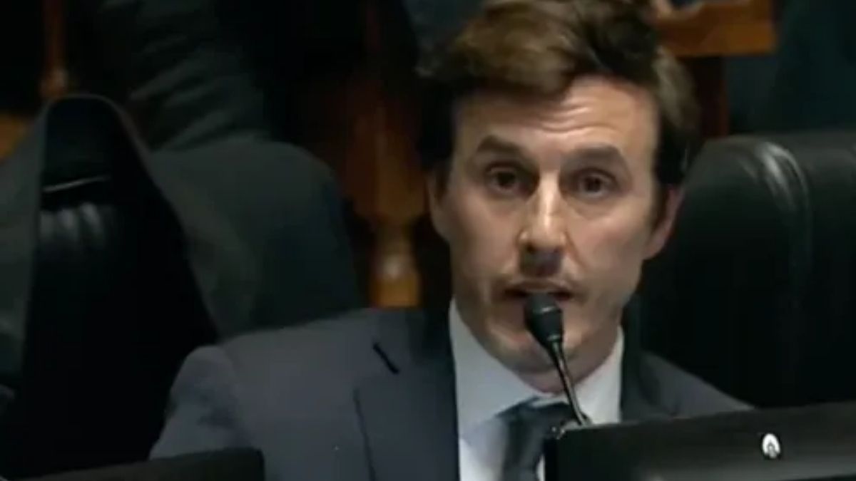 El marido de Pampita, a los gritos en la Legislatura