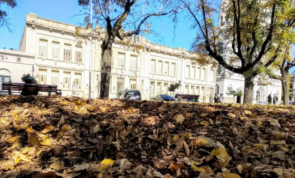 Llega el otoño y las temperaturas promedio de la semana descienden considerablemente