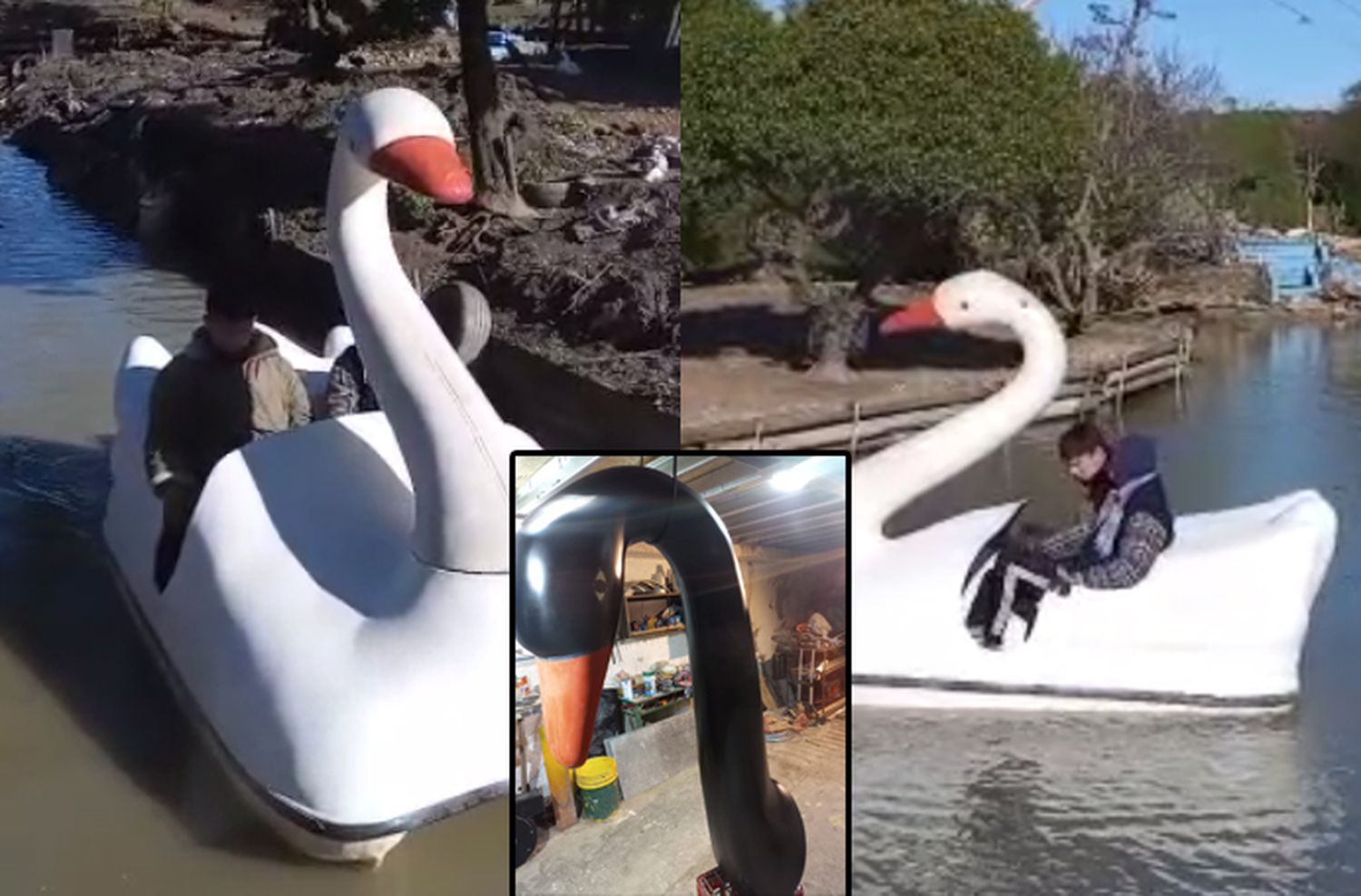 Volvieron los botes que le dieron el nombre al Lago de los Cisnes