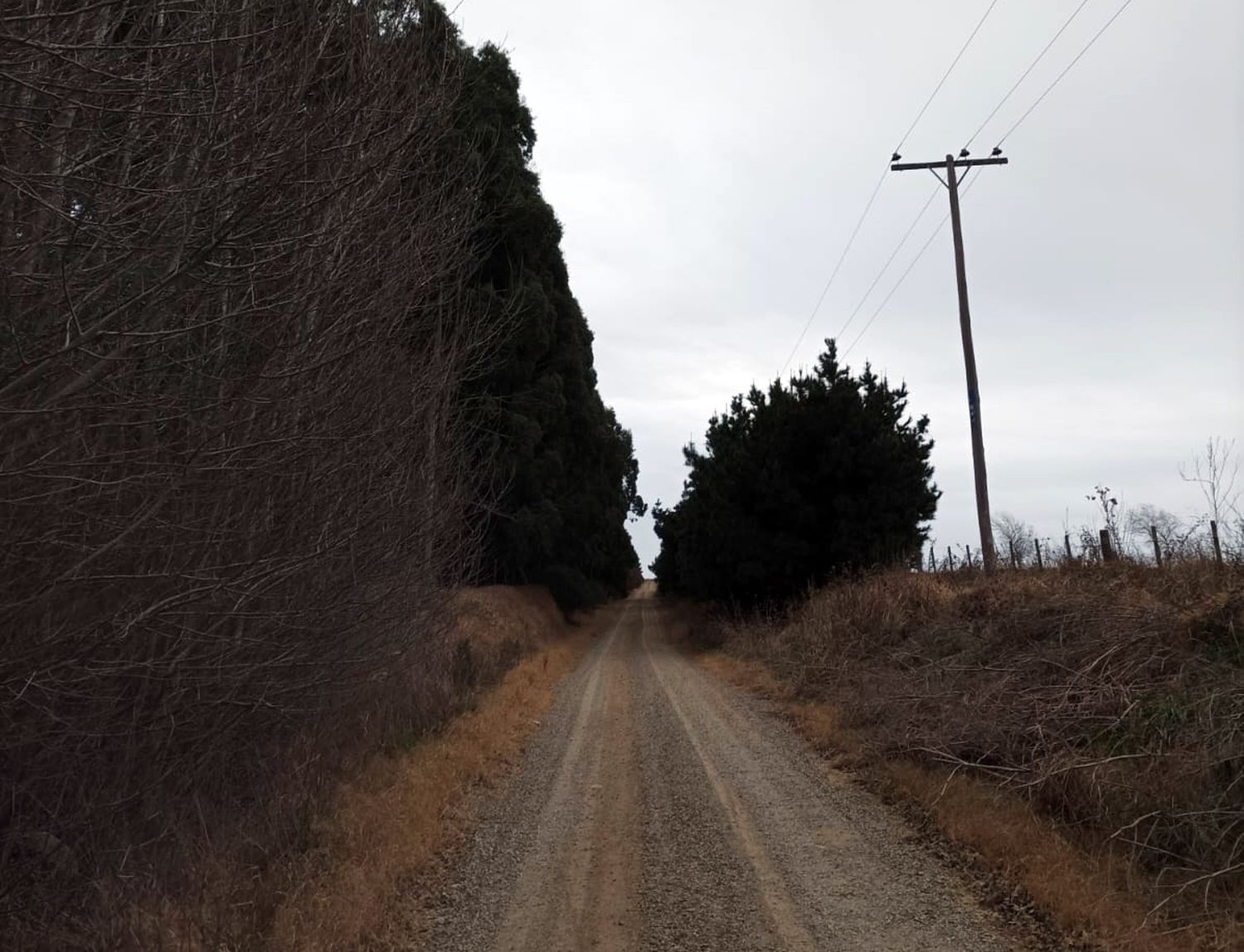 camino de namuncurá - 2