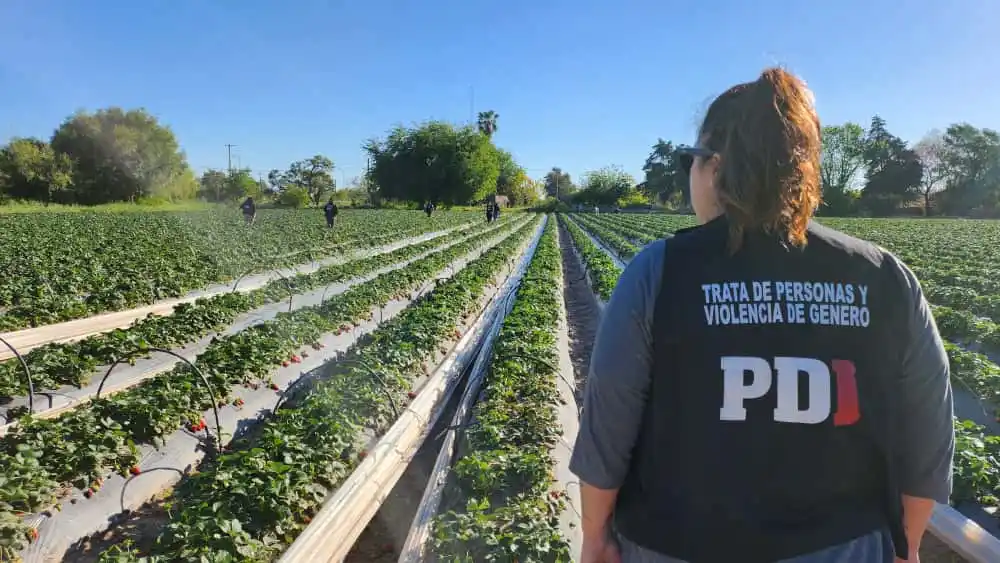 Rescataron a 42 personas en situación de explotación laboral y secuestraron armas, dinero y documentación - 2