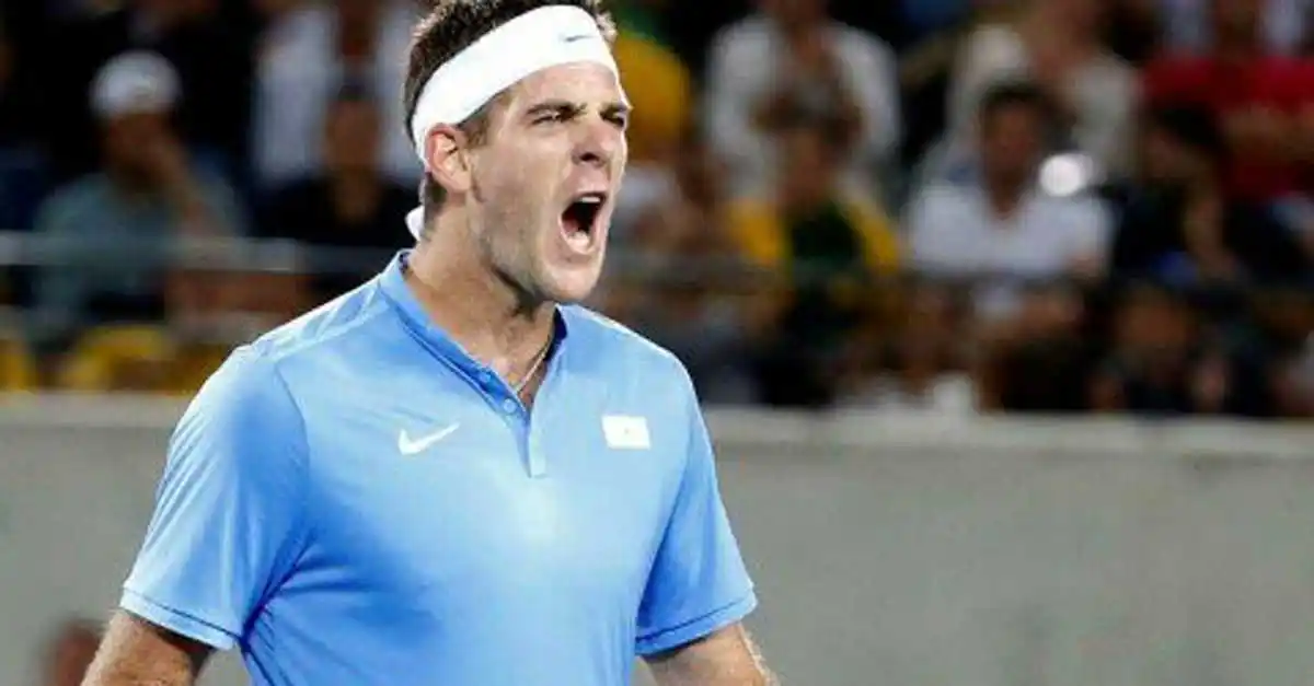 Del Potro superó a Karlovic e igualó la serie