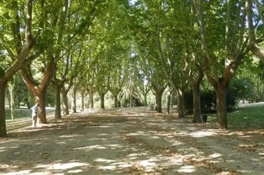 Un grupo de jóvenes manosearon a una adolescente en un parque
