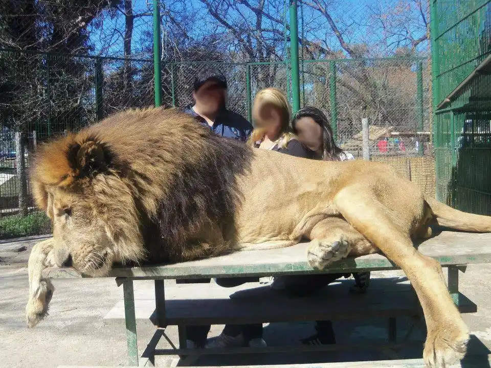 Juntan firmas para pedir el cierre del Zoológico de Luján