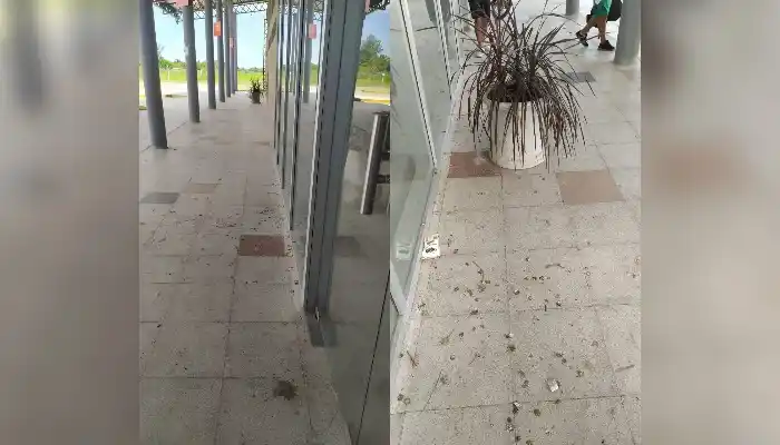 Mugre en la terminal