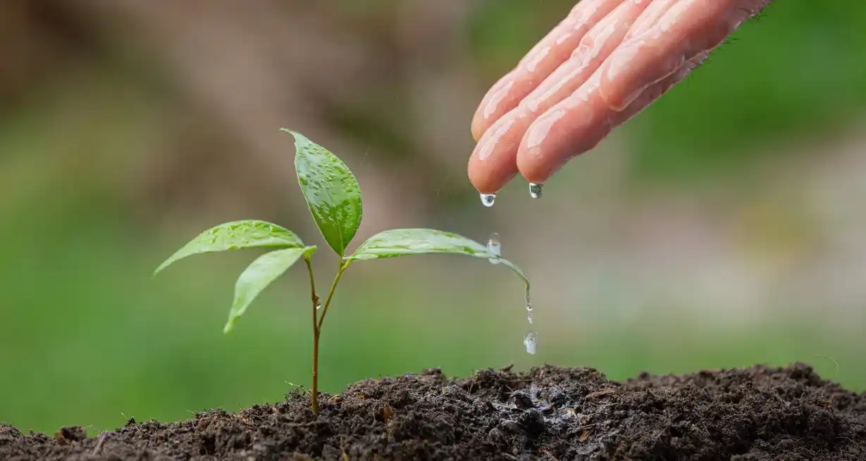 Las prácticas sostenibles mejoran la salud del suelo.