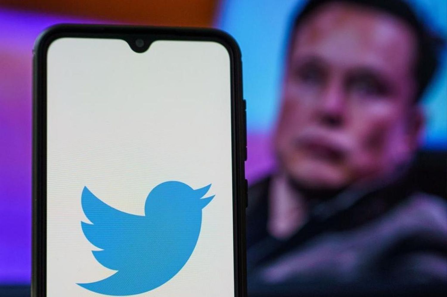 Twitter: “Pasarán semanas” hasta que se restablezcan las cuentas suspendidas