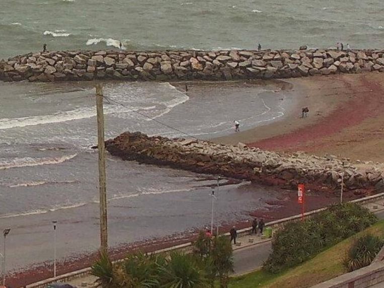 Este fenómeno es ocasionado principalmente por factores meteorológicos y oceanográficos.