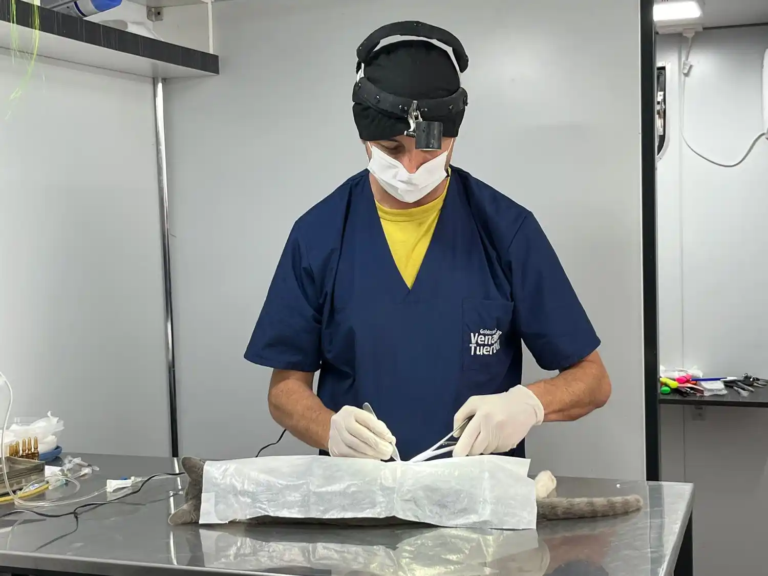 Una cantidad importante de vecinos acercaron sus mascotas al quirófano móvil.