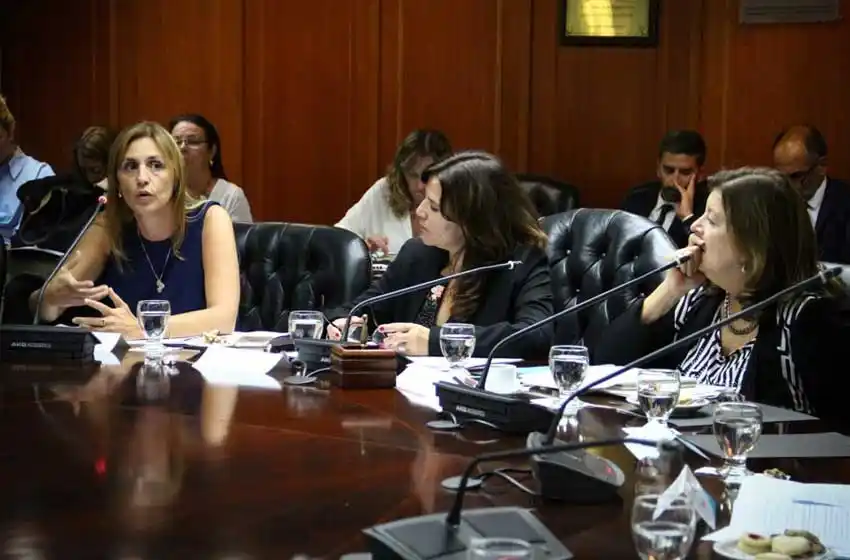 "El gran problema que la sociedad percibe de la Justicia es la tardanza"