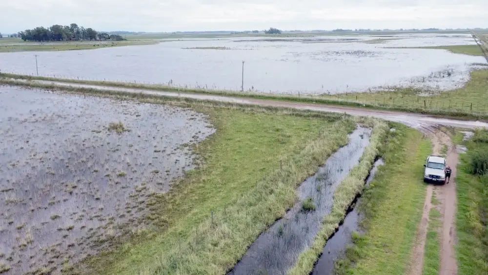 Un campo inundado en el corazón de la provincia de Buenos Aires.