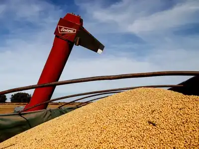 Exportaciones e importaciones: los problemas de la competitividad y el tipo de cambio