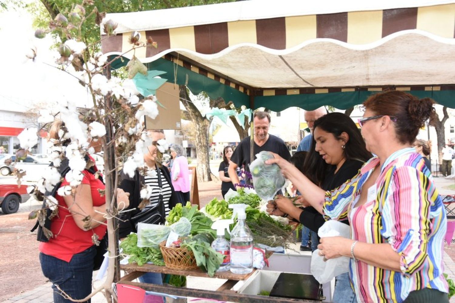 Producción local y sustentable en la “Feria desde el origen”