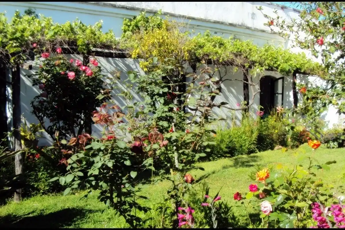 Los múltiples beneficios de la jardinería urbana y el cultivo de plantas nativas