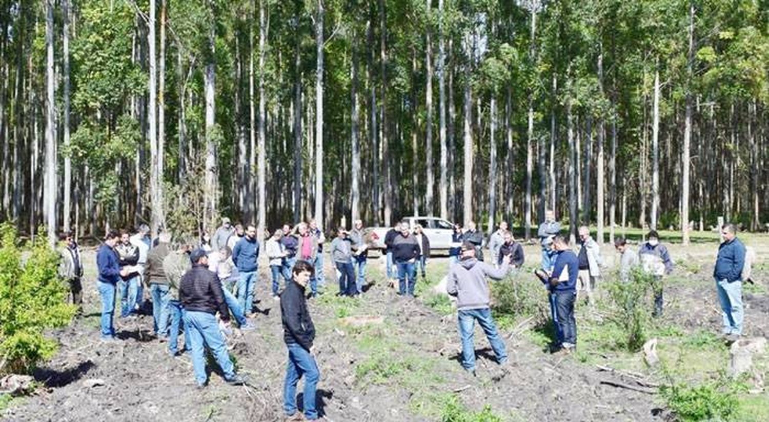 Entre Ríos impulsa el desarrollo forestal con asistencia directa en infraestructura y logística