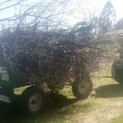 Mantenimiento y limpieza en Estación Lazo