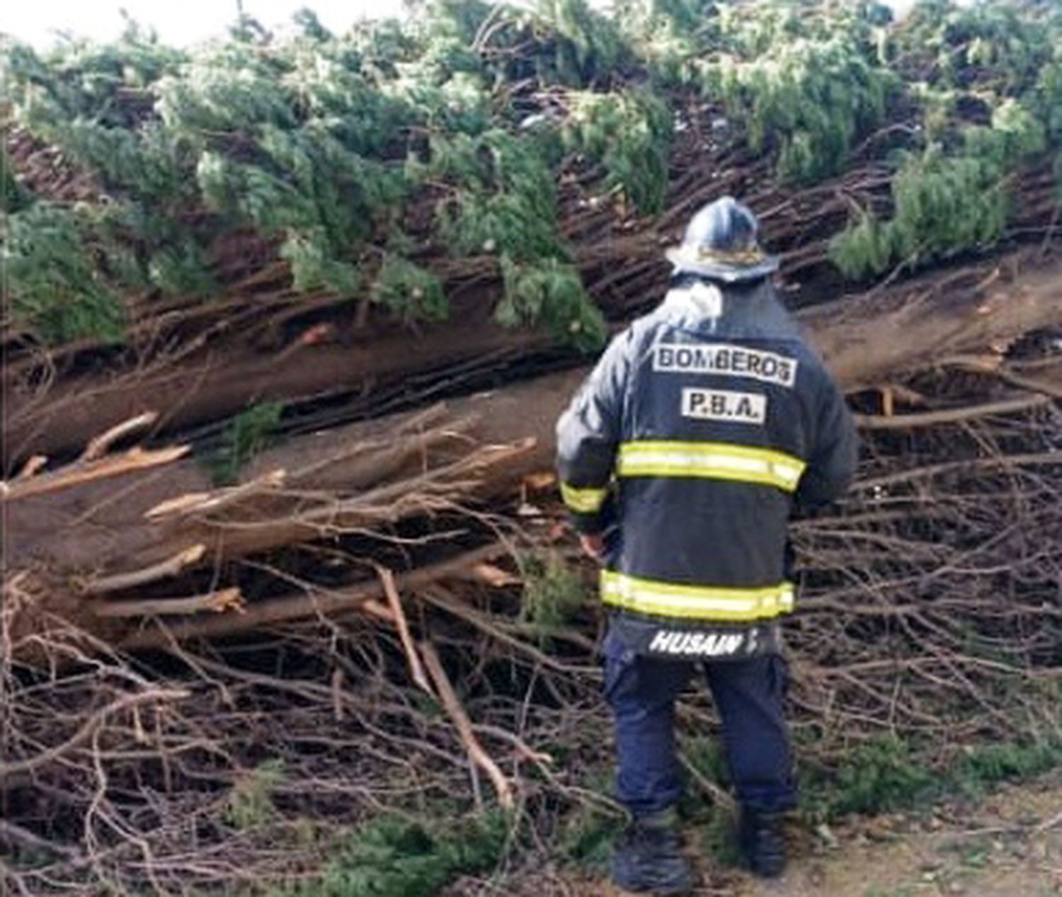Ardua. Labor tuvieron los bomberos entre la noche del miércoles y la mañana de ayer